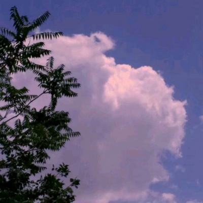 热血足球内购破解版下载