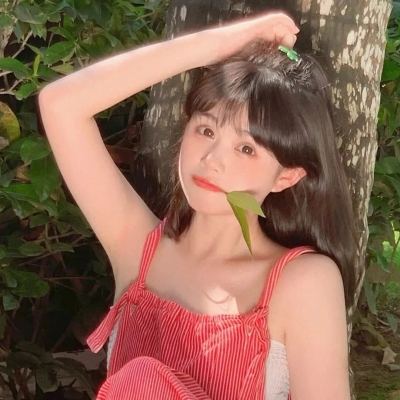 浴血长空bt版下载